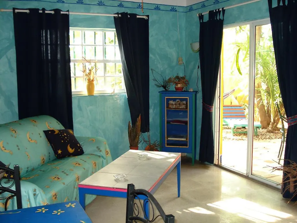 Ferienwohnung Coco Palm Garden Playa Apartment