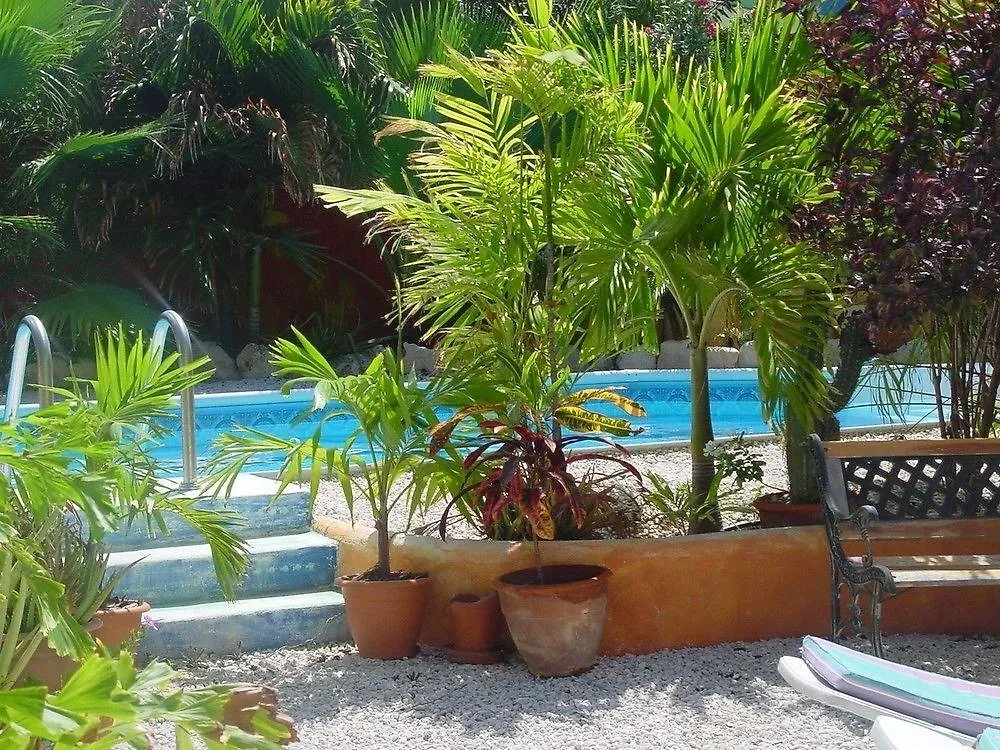 Apartment Ferienwohnung Coco Palm Garden Playa