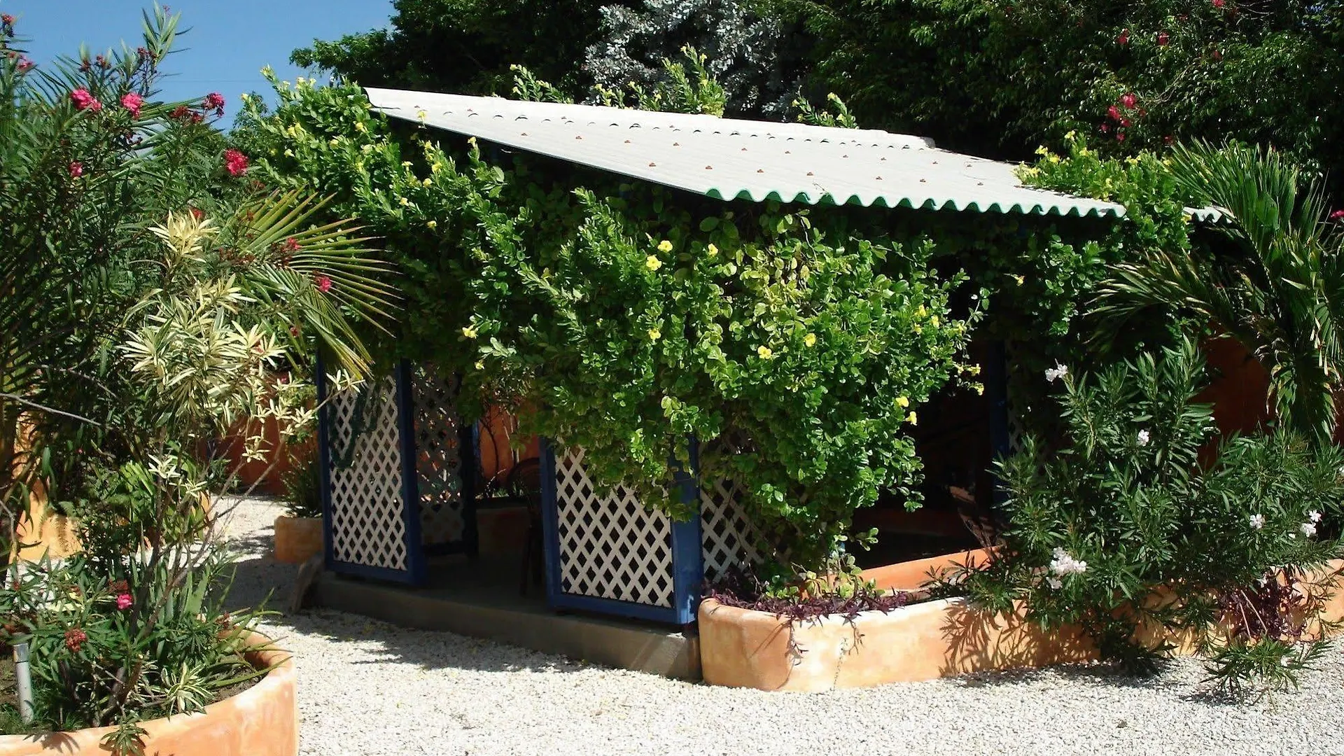 Ferienwohnung Coco Palm Garden Playa